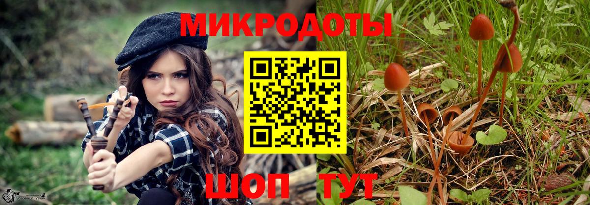Псилоцибиновые грибы ЛСД Сосновый Бор
